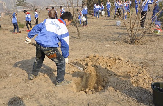 河曲县组织小学生义务植树