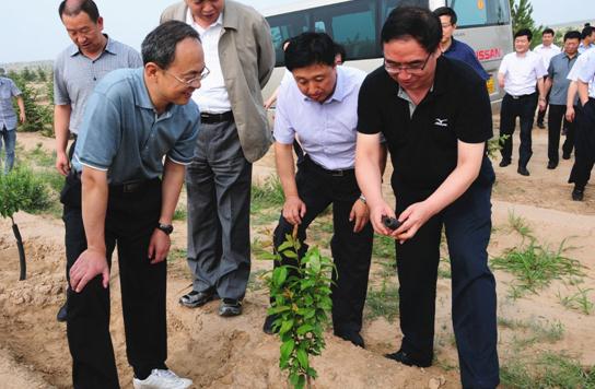 忻州市召开造林绿化现场观摩会