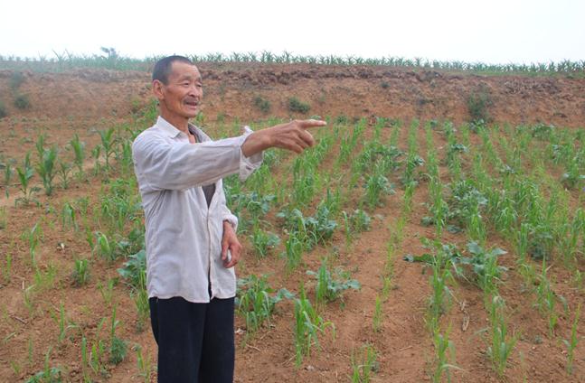 高平寺庄:政府帮农民把地种活了