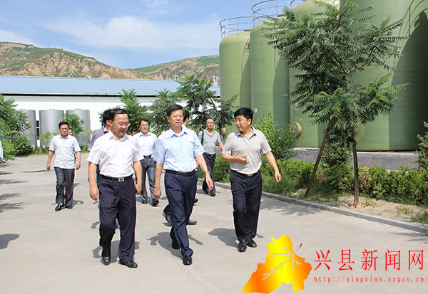 山西焦煤集团董事长武华太在兴县调研农业产业