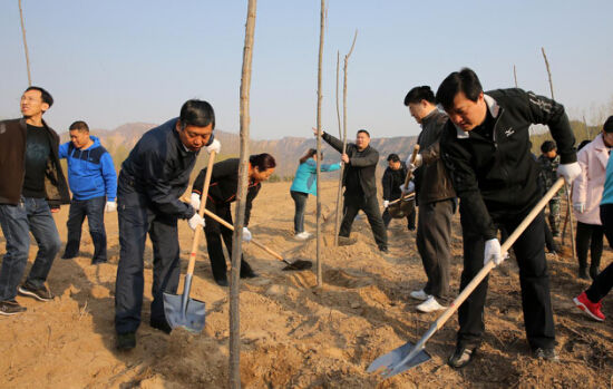 在植树节即将来临之际,运城市人大常委会副主任,平陆县委书记郭宏