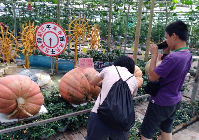 人民网阳城7月10日电(张婷婷)7月9日,以古丝路、新三农、大旅游为主题的阳城县第二届农业嘉年华在皇城相府庄园开幕,拉开了为期三个月的南太行农业狂欢节帷幕。开幕式由阳城县人民政府县长史小林主持,中共阳城县委书记窦三马致欢迎词。 据介绍,本次活动突出丝绸之路的历史传承,围绕丝绸之路中原经济圈两个元素,以现代创意农业的手法,着力打造了丝路绽放和古道春风等六馆六园一区,给人以全新的视角。同时,注重参与性、互动性、娱乐性,设置了浪漫蝴蝶谷、萤火灯光秀、热气球飞行、WR体验等20多个项目,给