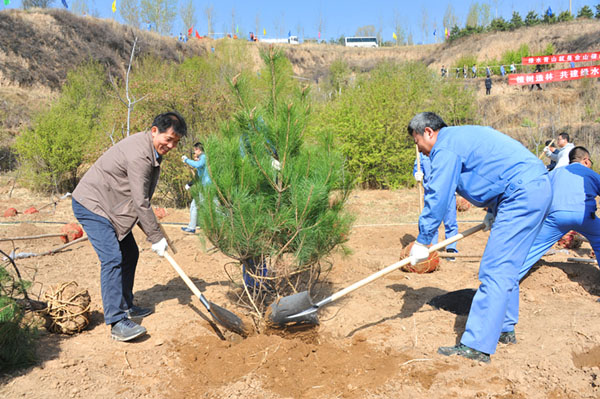 山西省国土厅组织开展义务植树活动