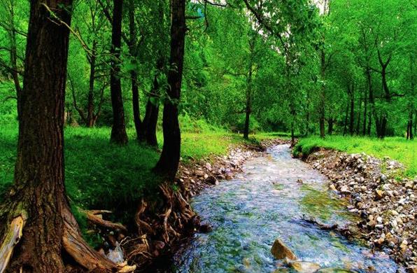 山西沁河源国家湿地公园（图片来源：山西省自然保护区管理站）