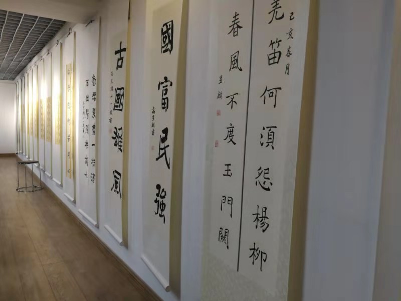 太原女孩高昱麒举办书法展为自己庆生
