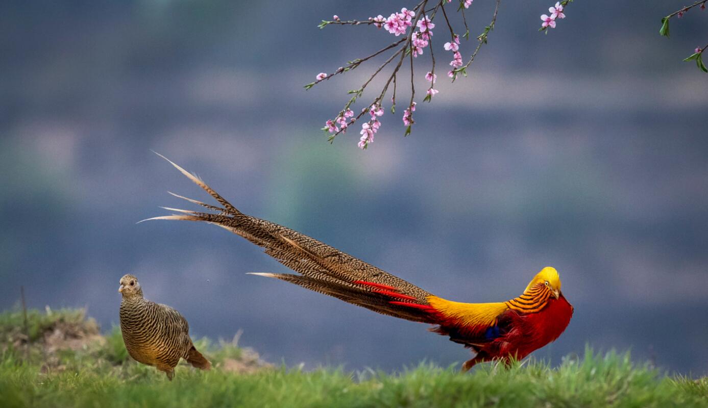 ���´���� �츹��������Ũ��5��