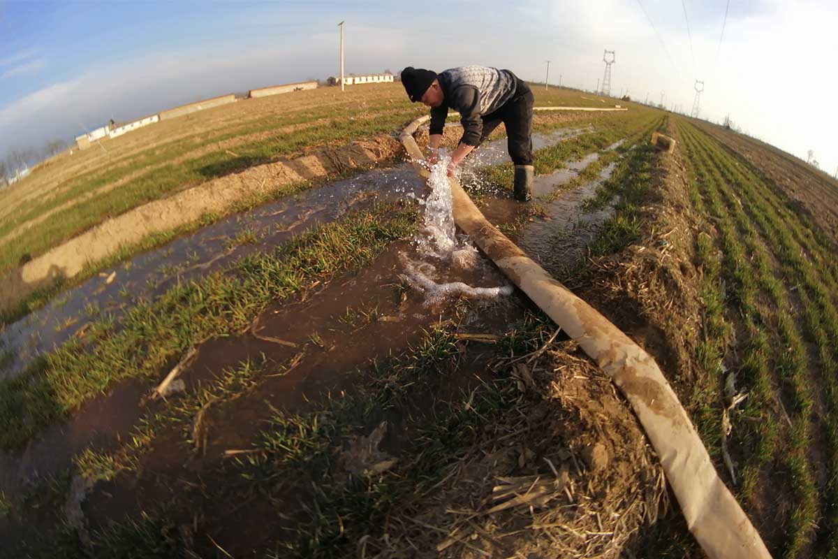 村民南悶蛋在接水管給冬小麥春澆頭茬水抗旱保墒保苗