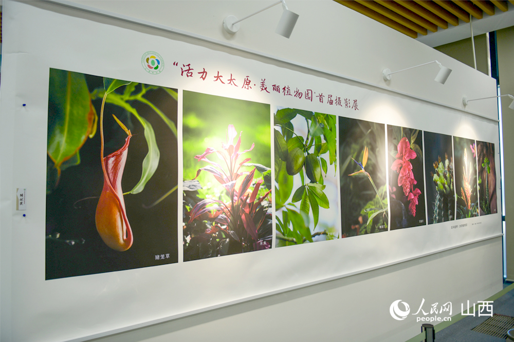 定格四季芳華 太原植物園邀您探尋植物秘境。人民網 焦搏文攝
