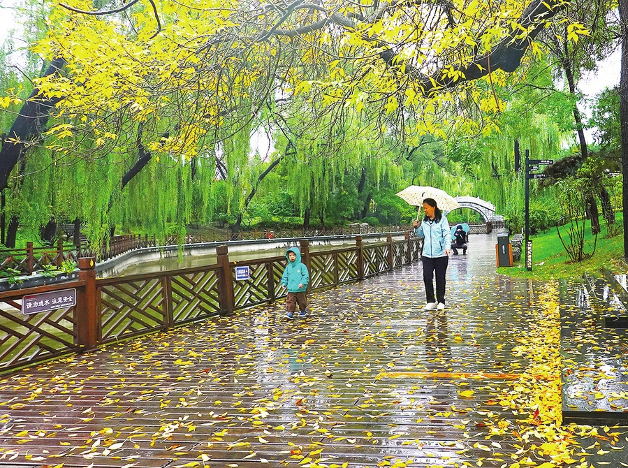 10月3日，太原市迎澤公園，霏霏秋雨中，市民陶醉在如畫的秋色中。本報記者李兆民攝
