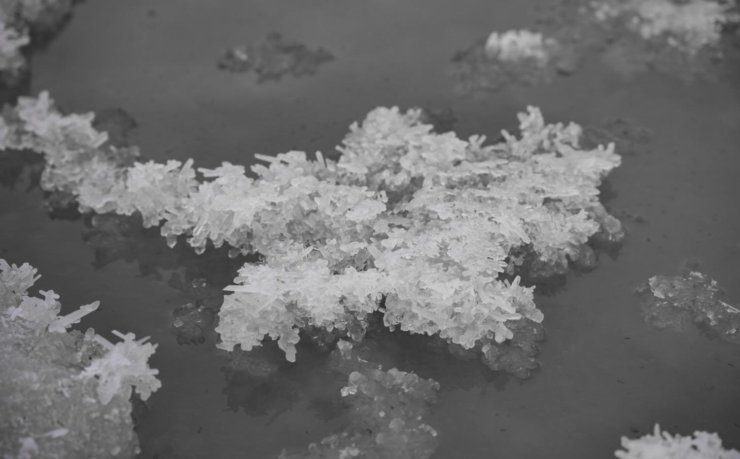 冬日盐湖 “雪树银花”【6】