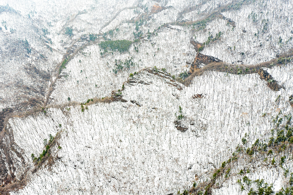 太行龍泉驟降春雪 青山林海銀裝素裹【4】