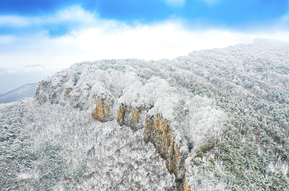 太行龙泉骤降春雪 青山林海银装素裹【5】