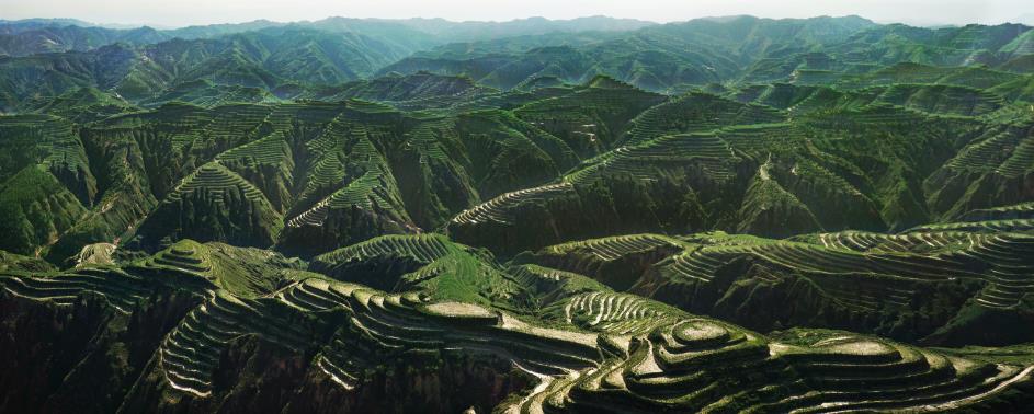 俯瞰层层梯田，阡陌纵横。