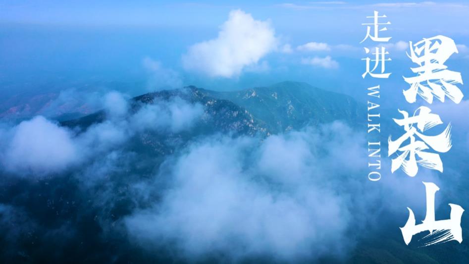 走進黑茶山