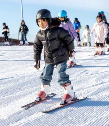 学生们体验冰雪世界