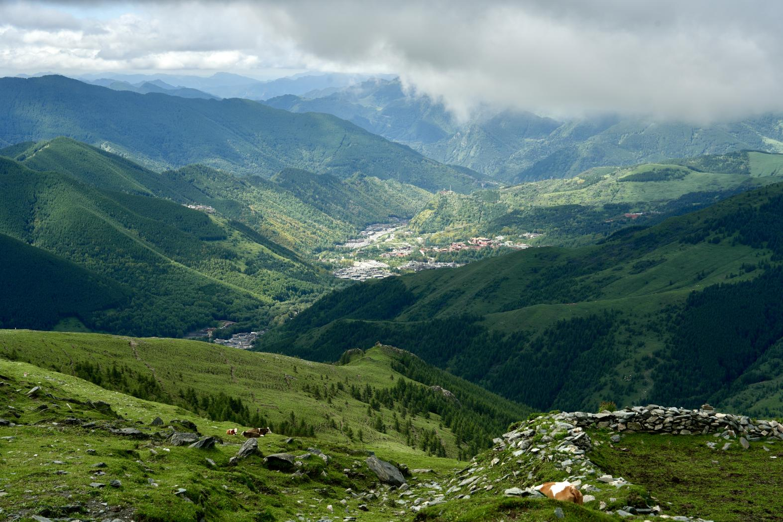 五台山风景区。卢鹏宇摄