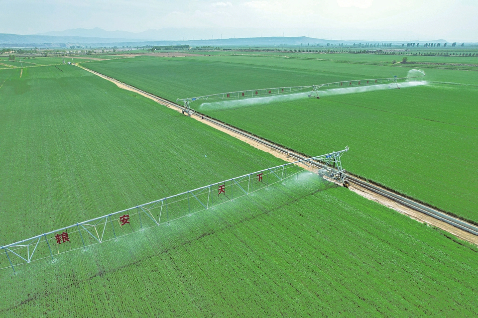 4月下旬，在芮城县黄汾百万亩粮食优质高产高效示范基地，自走式水肥一体机为小麦浇水。刘宝成摄