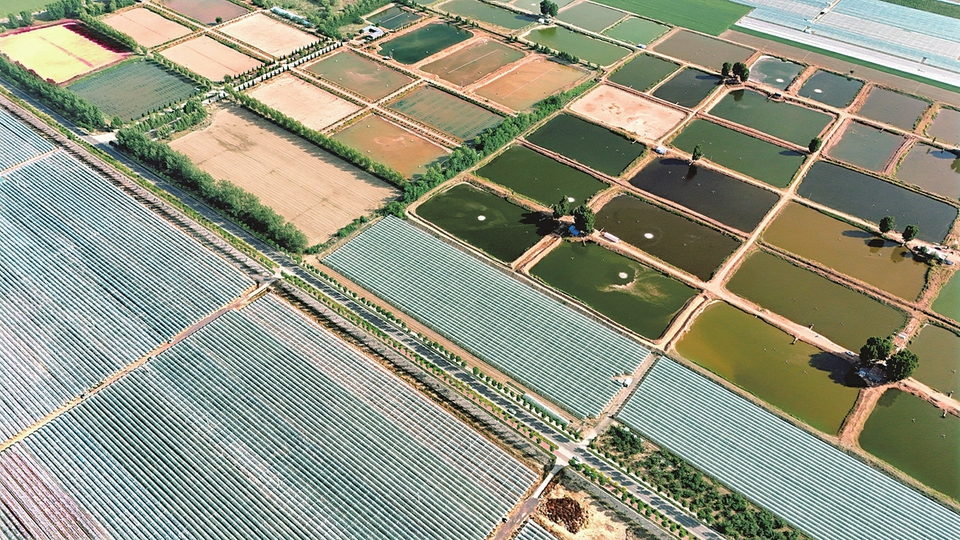 現代農業新圖景