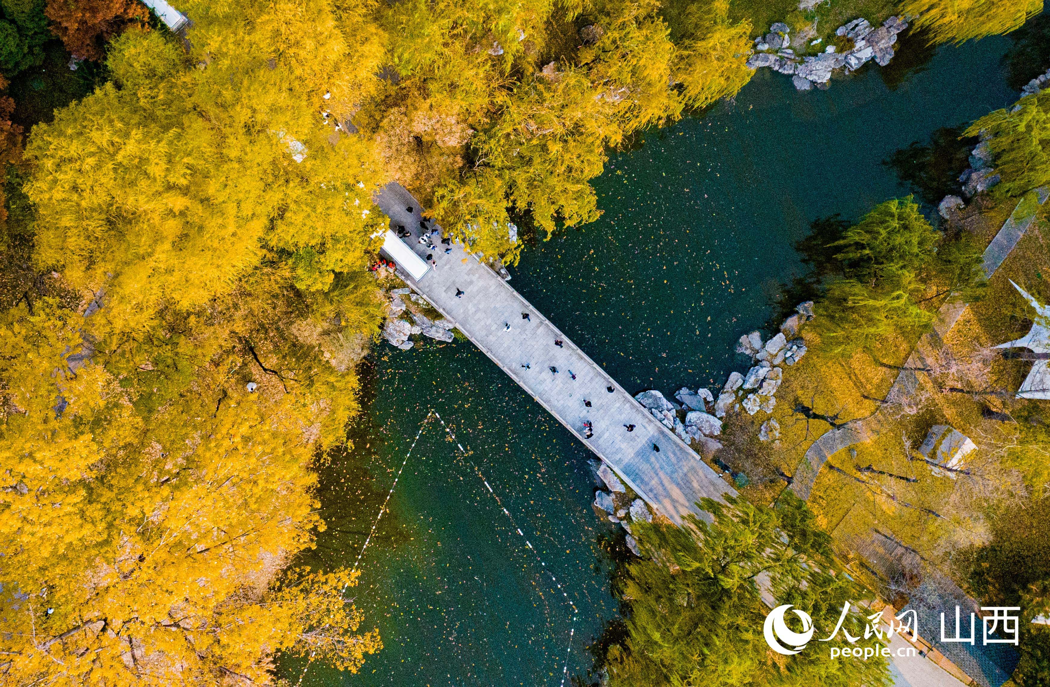 航拍晉祠公園游人在深秋漫步。人民網記者 王帆攝