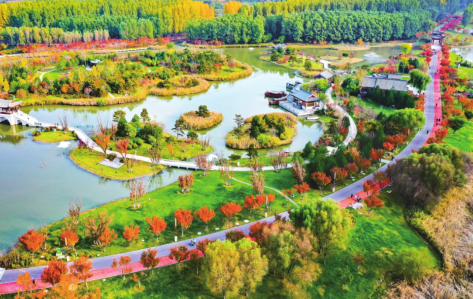 湿地公园秋意正浓