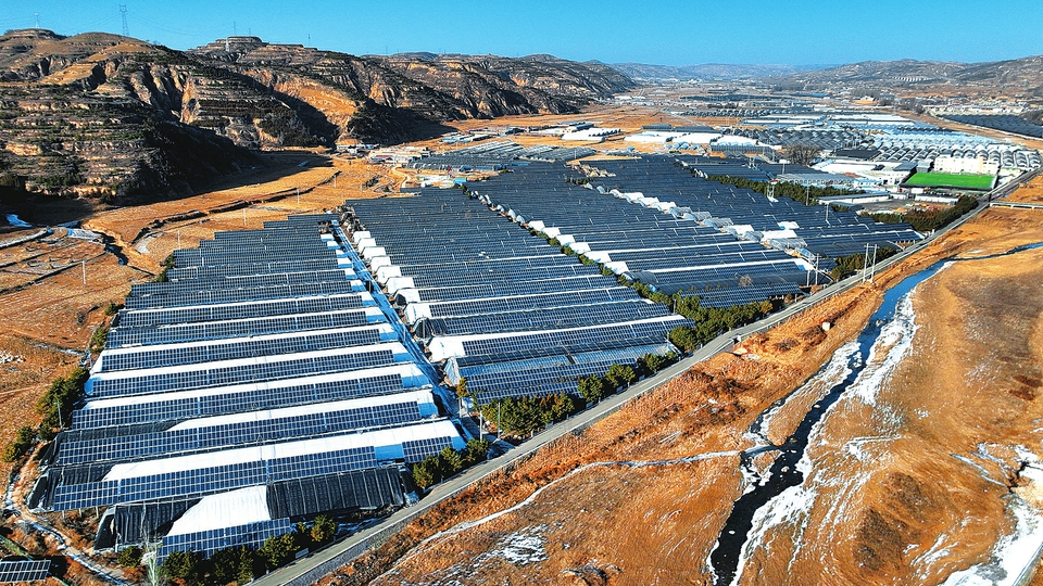 绘就乡村振兴新图景