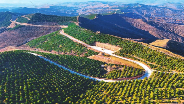 偏關縣柏楊嶺長城一號旅游公路