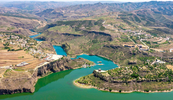偏關老牛灣，樹木並肩而立守護黃河安瀾。