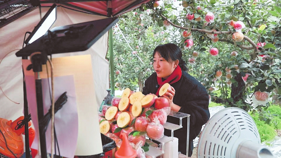 喜多鲜电子商务有限公司的主播在果园向网友推介临猗苹果。临猗县融媒体提供