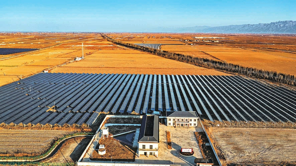 盐碱滩涂变身绿电基地