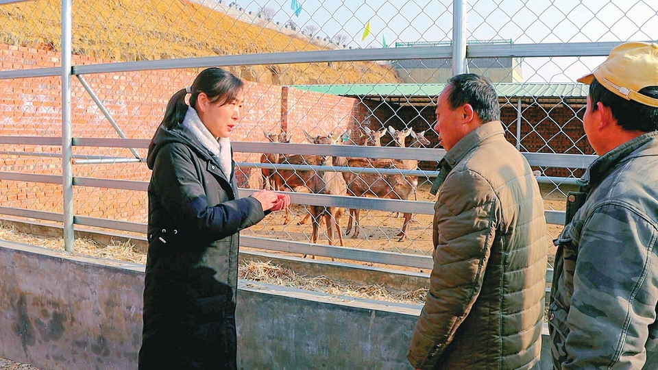 昔陽縣農技人員與養殖戶正在交流。通訊員攝