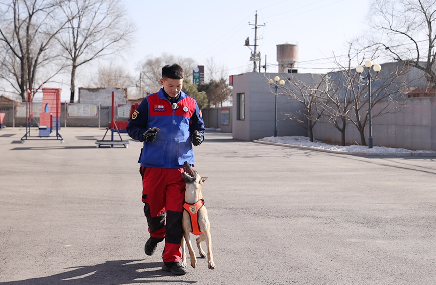 龙正舟与搜救犬训练“跟随”科目。