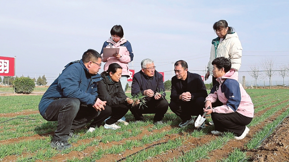 臨汾農技專家團隊深入翼城縣田間地頭
