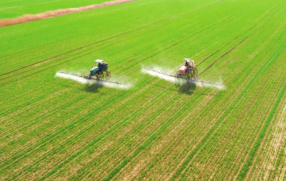 以科技手段助力小麥返青拔節