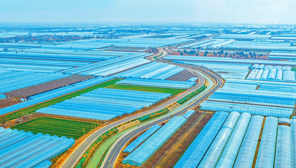 臨猗：著力改善涑水河流域生態環境