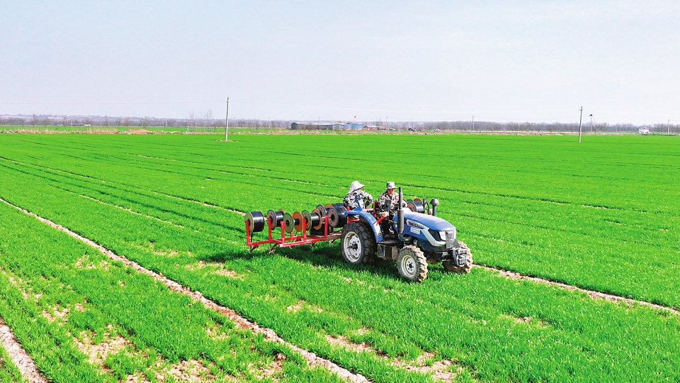 风来满眼春 田间处处忙