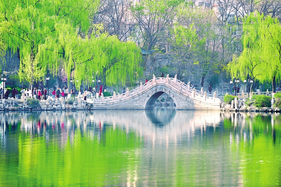 春景如畫