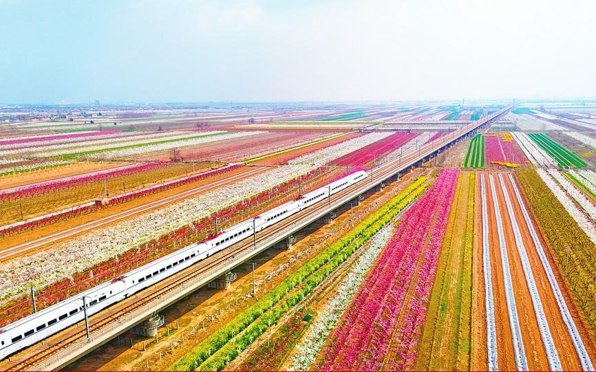 春满三晋 人间正暖