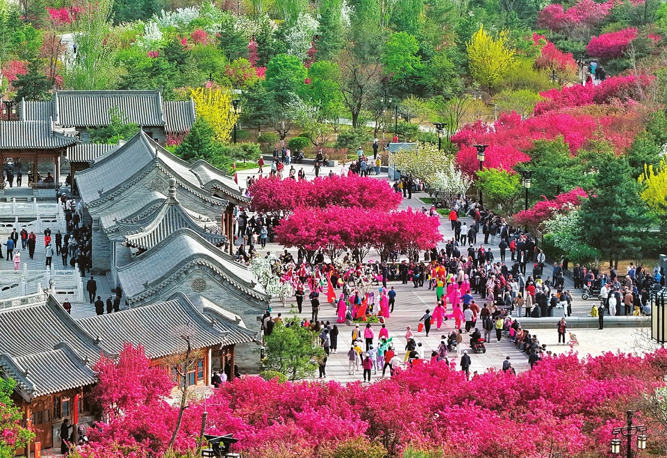 萬紫千紅總是春