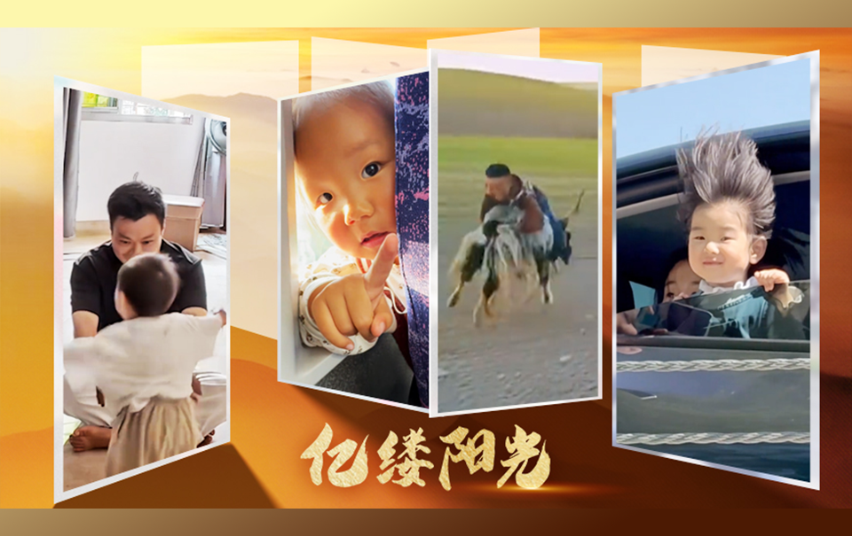 亿缕阳光｜治愈的瞬间