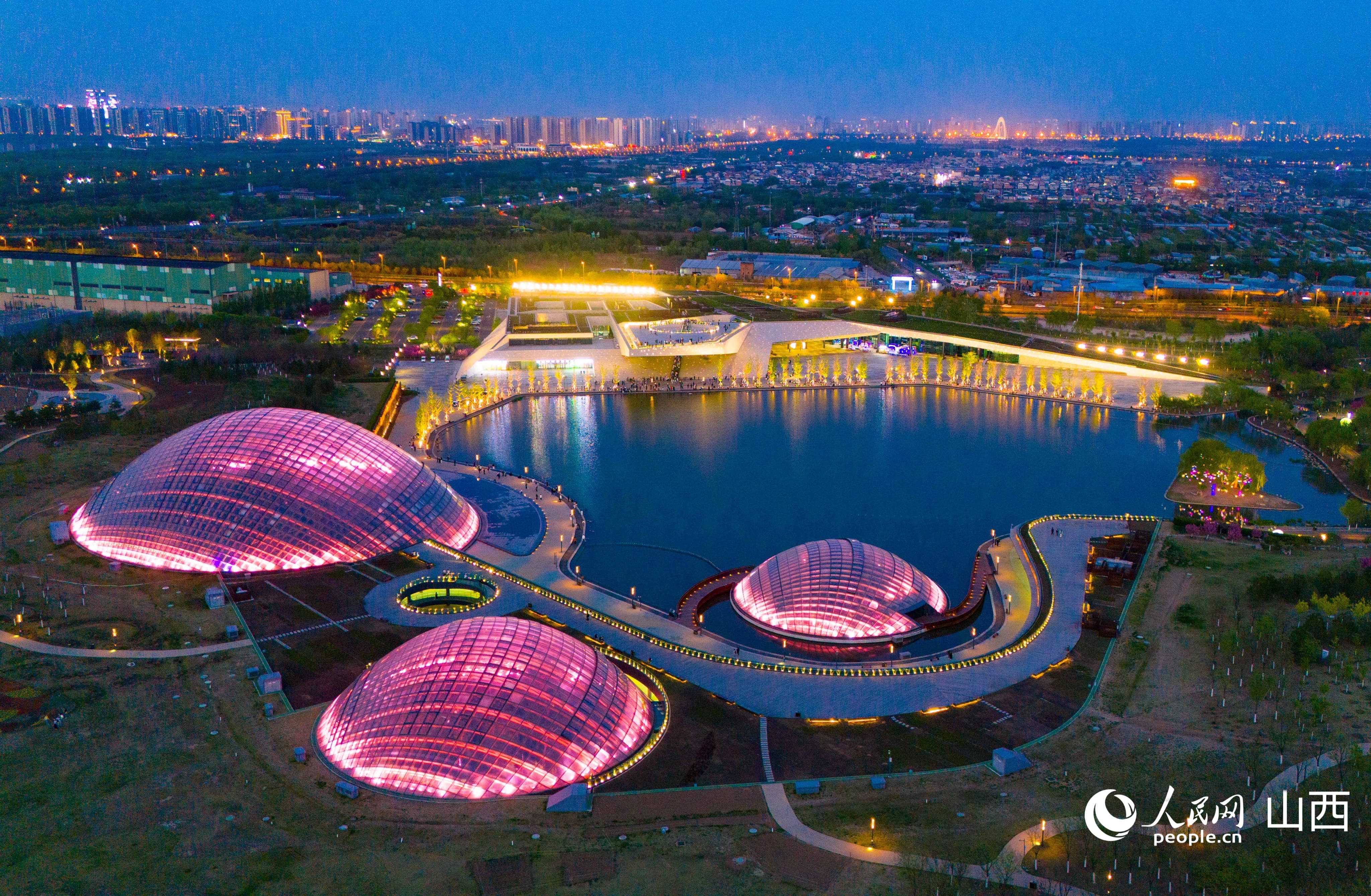 夜景下的植物园。人民网记者&nbsp;王帆摄