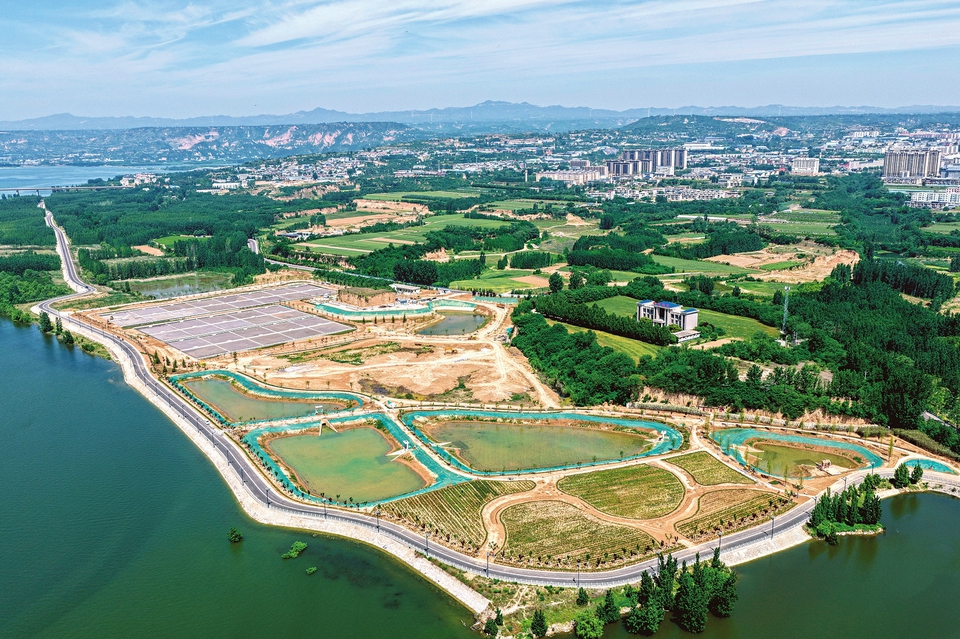 黃河岸邊新綠生波