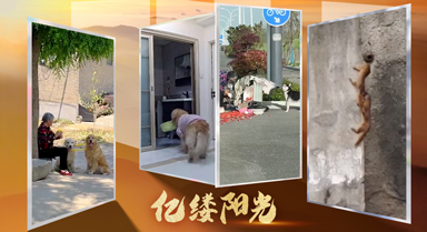 億縷陽光︱萬物有靈皆暖心