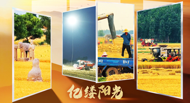 亿缕阳光·乡见｜麦浪翻金夏收忙