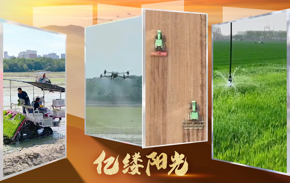 億縷陽光·鄉見︱沃野“智”變