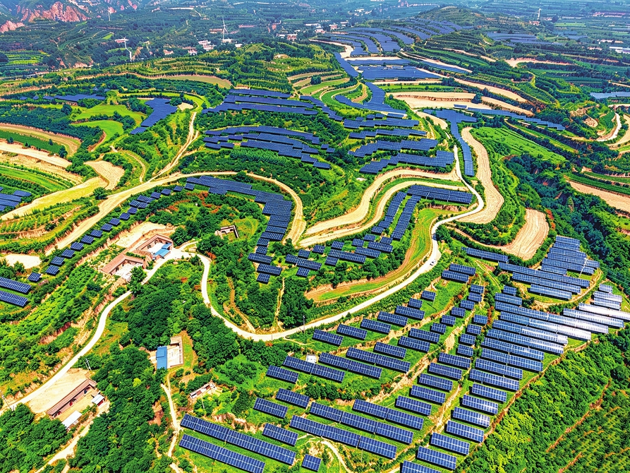 荒坡生新景 绿能促发展