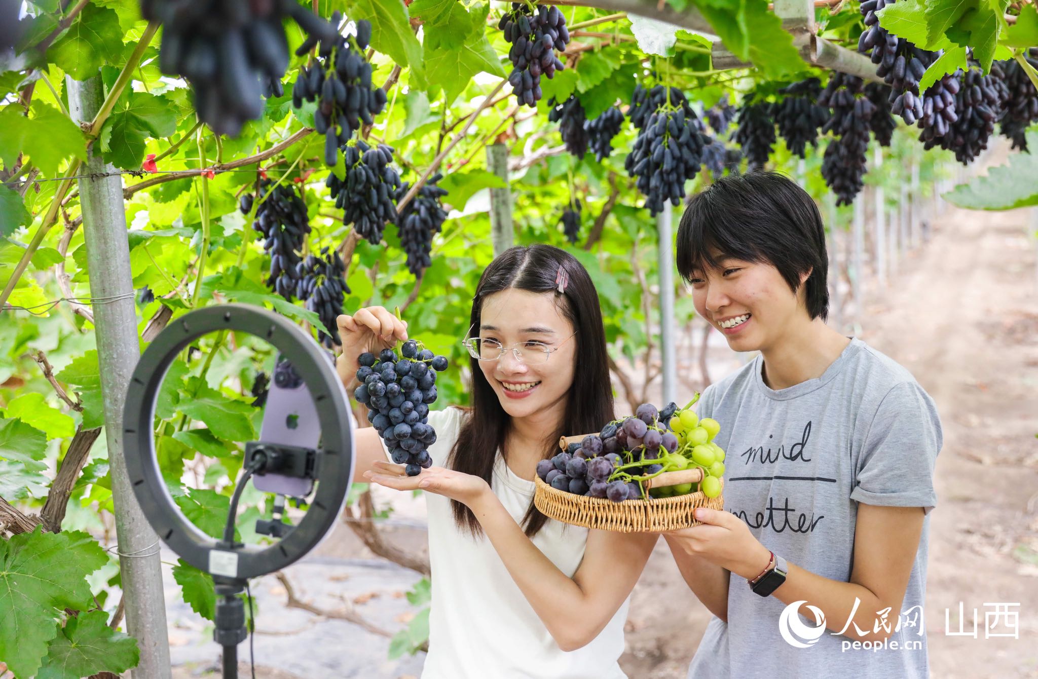 工作人员通过电商平台进行网络推广。人民网记者&nbsp;王帆摄