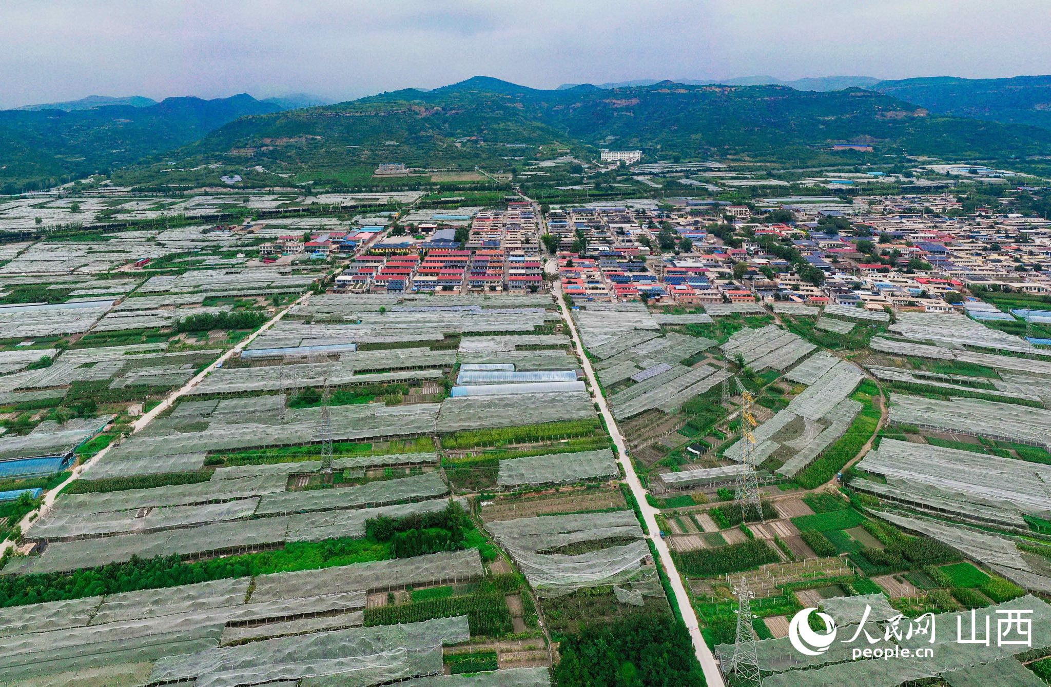 航拍西梁泉村葡萄基地。人民网记者&nbsp;王帆摄