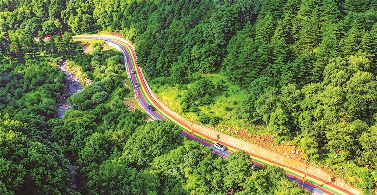 彩虹公路勾勒林间美景