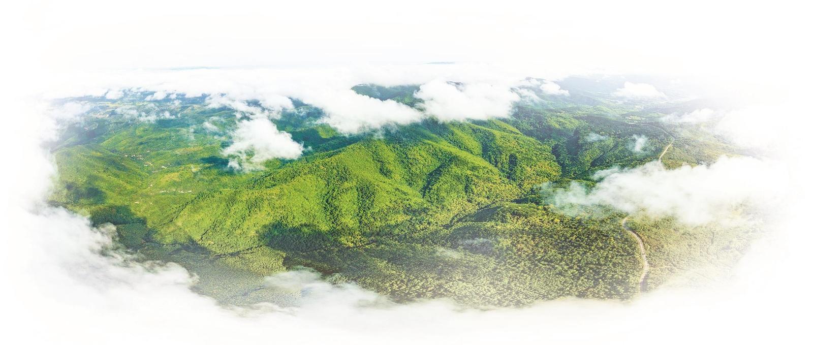 五鹿山雲海。